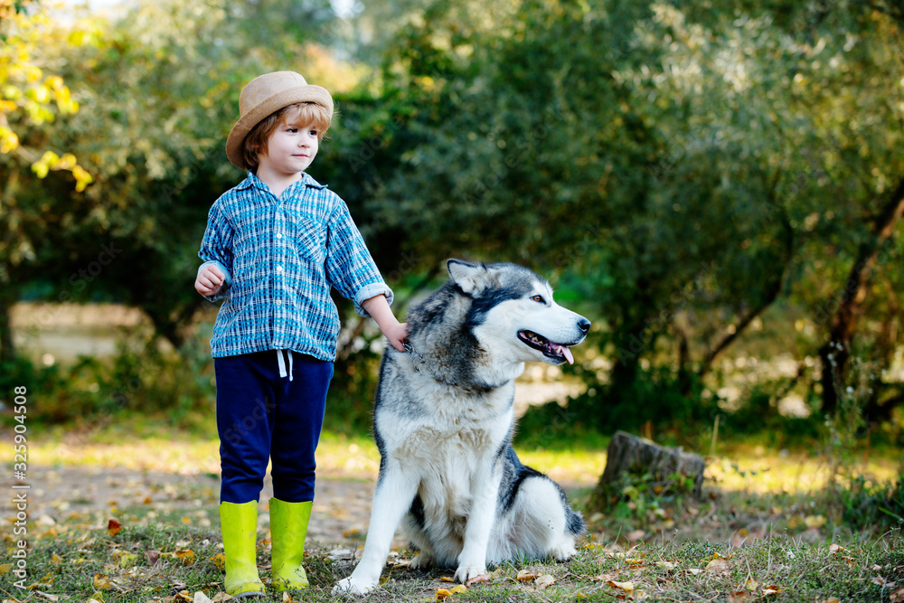Kids with dog walking away. Little boy with pet dog exploring nature vacation. Little kids in village. Little Boy playing with his dog outdoors enjoying together.
