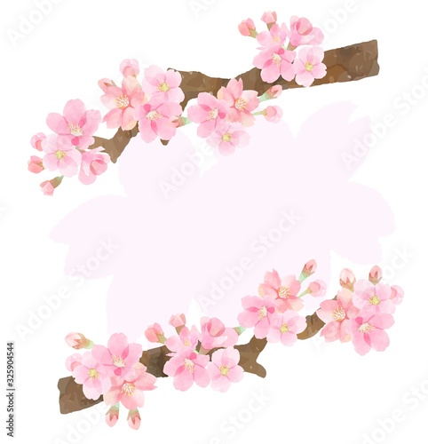 桜の枝 フレーム