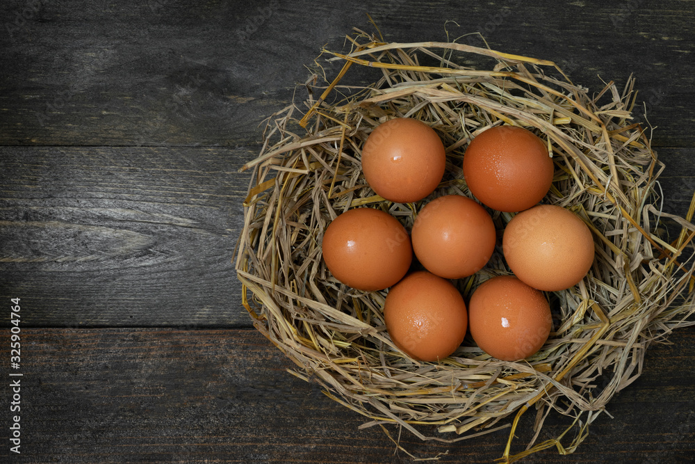 Chicken egg in nest on wooden table. Chicken egg in nest on wooden table.