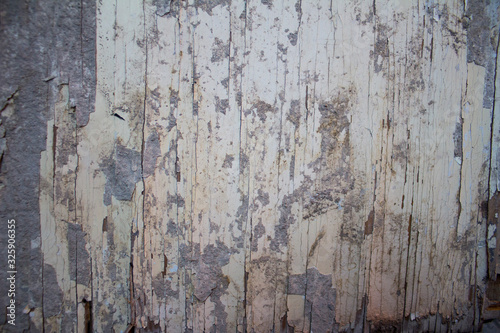 Piso blanco de madera desgastado  photo