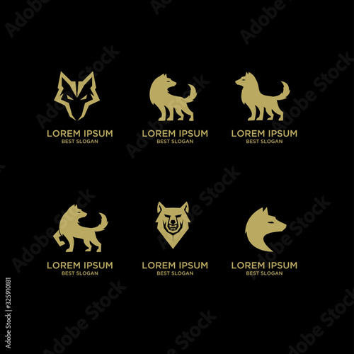 collection of gold wolf logo icon design with black background