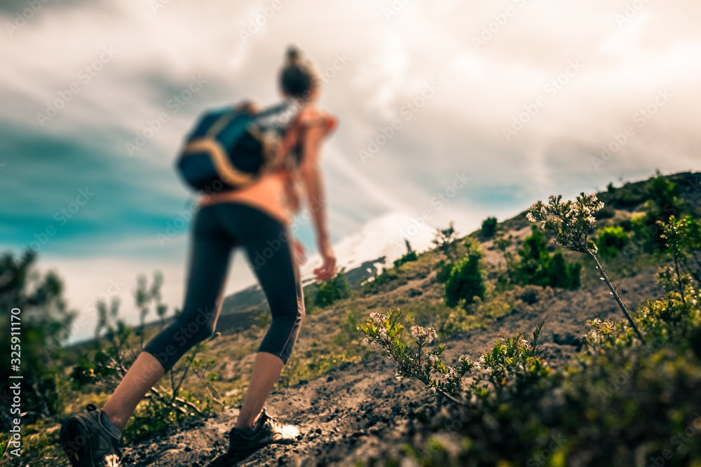 Young woman hiker walks on the loose rocky trail with snow capped volcano on the background. Trekking to volcano of Osorno in Chile. Tilt shift effect applied with focus on the grass on the foreground