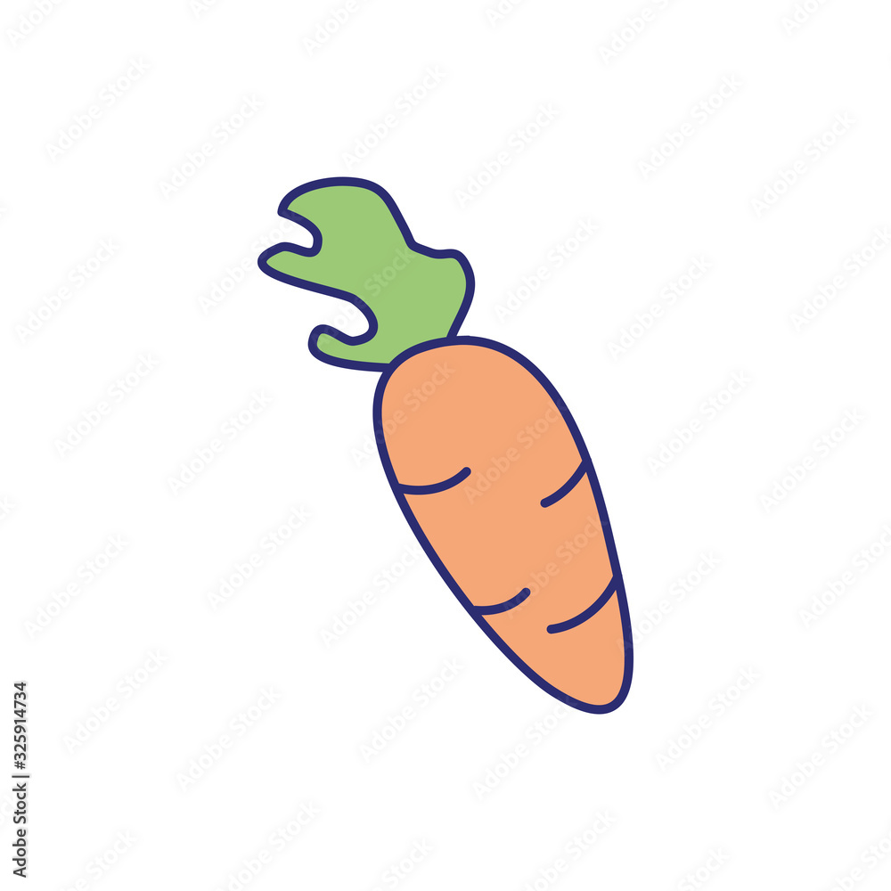 carrot fresh vegetable isolated icon carrot fresh vegetable isolated icon
