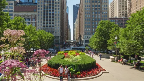 Madison Street Garden Timelapse Chicago