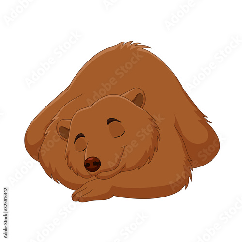 Cartoon funny brown bear sleeping