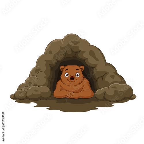 Cartoon happy brown bear in the cave