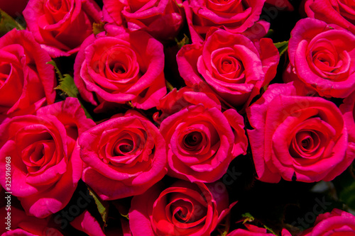The background is red roses. Horizontal photo. Gift  bouquet  happy Valentine s Day  Valentine s Day