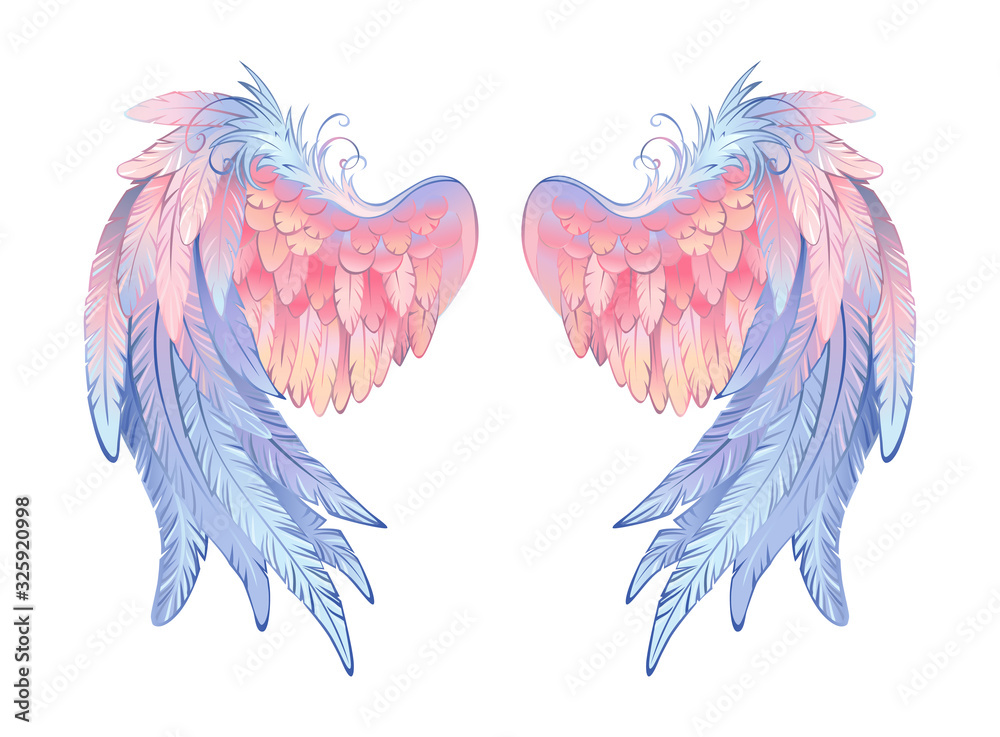 Fototapeta premium Delicate angel wings