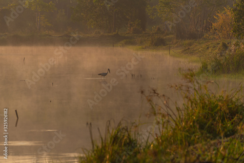 Morning nature scene fog (mist) on the lake © sihasakprachum