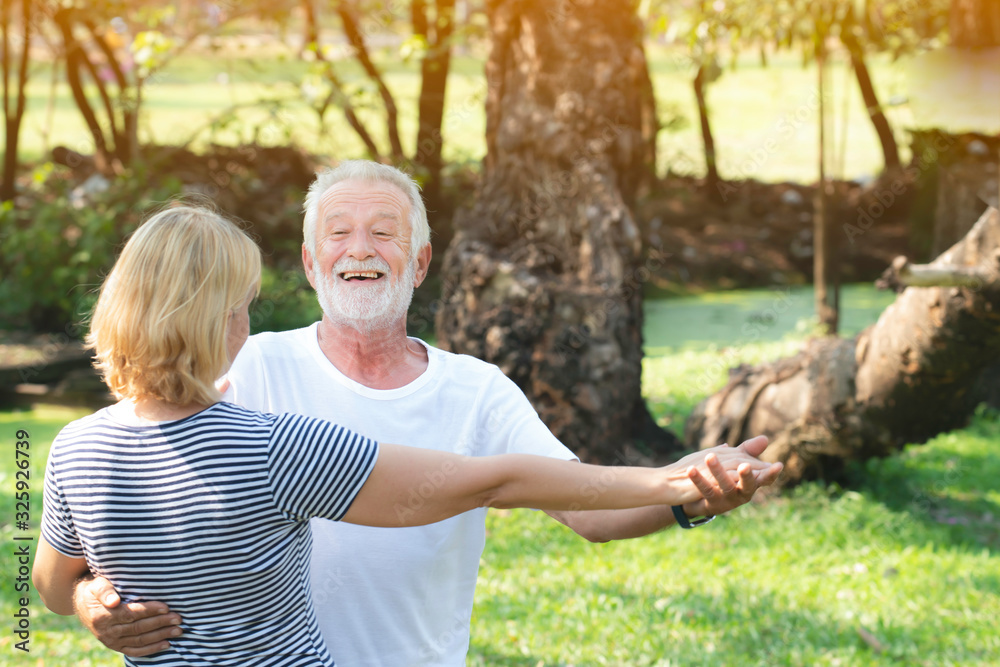 Happy retired man and woman danceing in the park.Portrait of senior caucasian couple dancing and holding hands in the soft sunlight.Romantic and valentine concept.bokeh,anniversary,happily retired. Happy retired man and woman danceing in the park.Portrait of senior caucasian couple dancing and holding hands in the soft sunlight.Romantic and valentine concept.bokeh,anniversary,happily retired.