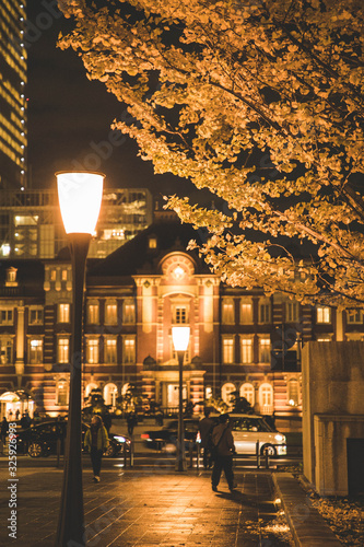Tokyo Station at night
