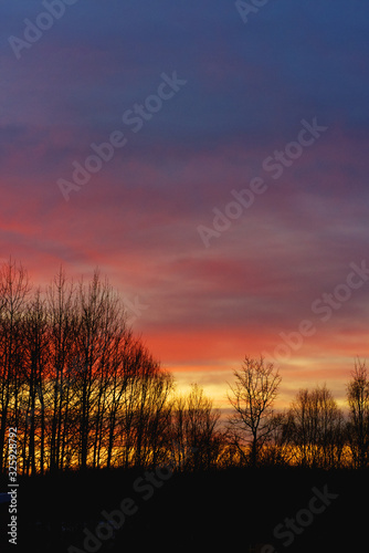 Sunrise in Northern Alberta