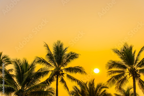Beautiful nature with palm tree around sea ocean beach at sunset or sunrise © siraphol
