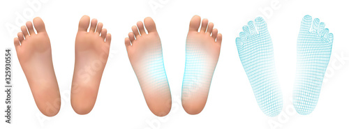 3d illustration,vector foot volume, health and shoe selection