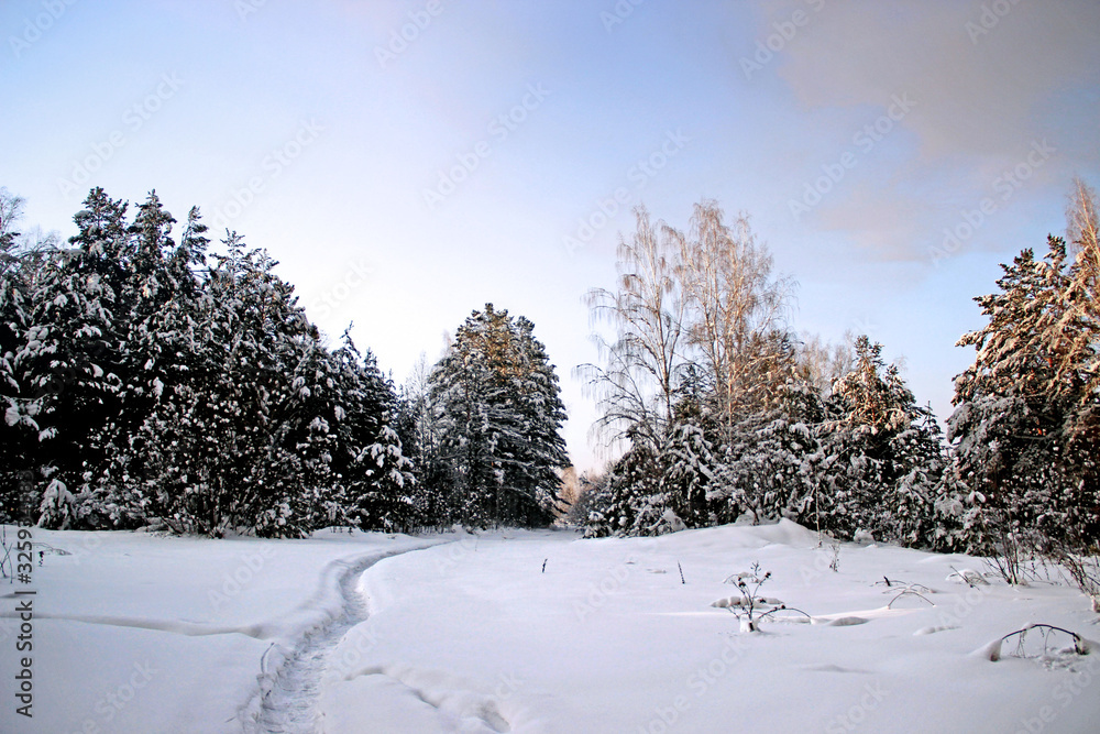 Winter landscape. Clearly visible winding path trodden in the snow, goes deep into the thicket. Slightly pinkish snow and colorful sky. Winter landscape. Clearly visible winding path trodden in the snow, goes deep into the thicket. Slightly pinkish snow and colorful sky.