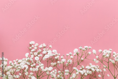Gypsophila white baby's breath flower on pastel pink background with copy space. Sweet and beautiful wallpaper for Valentine or wedding backdrop design. Gypsophila flower is mean forever love.