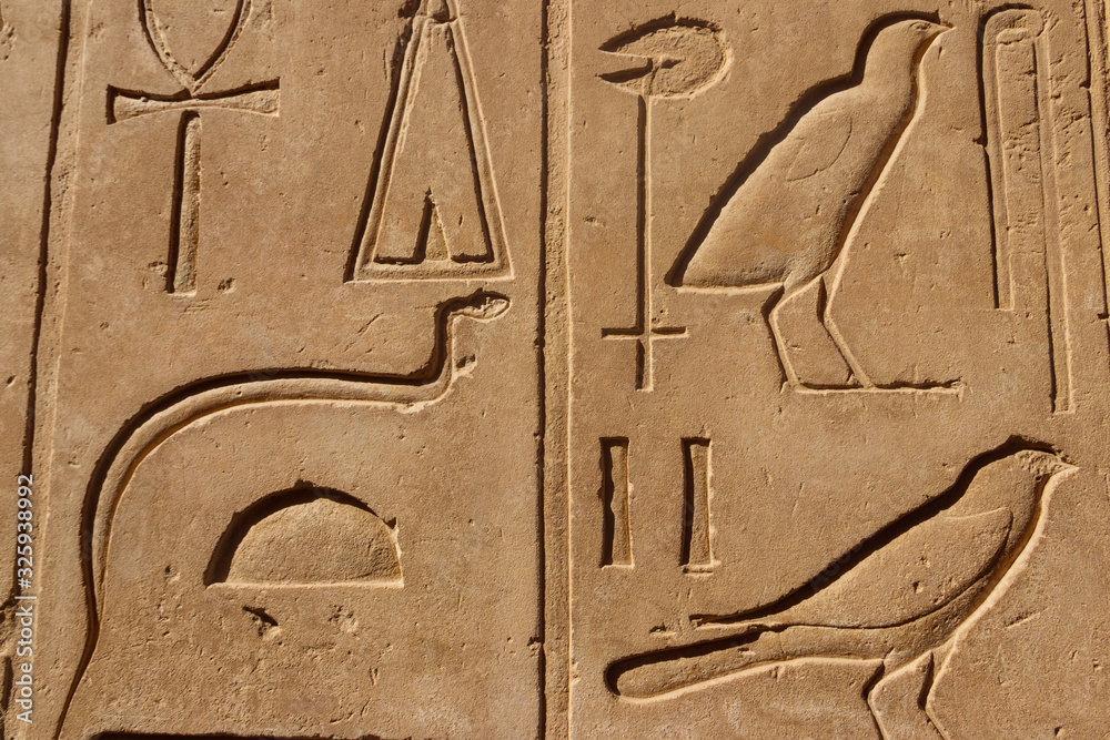 Fototapeta premium Ancient egyptian hieroglyphs on the wall in Karnak Temple Complex in Luxor, Egypt