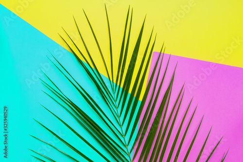 Abstract tropical background. Green palm leaf on yellow, blue anf purple backdrop.