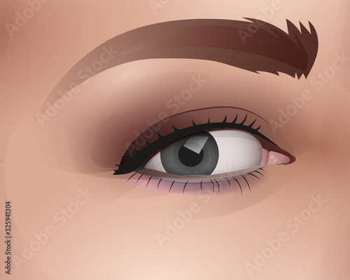 vector female eye with makeup, realistic fashion illustration