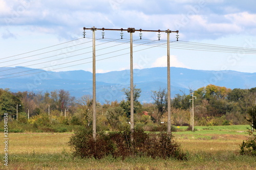 Narrow three connected concrete power line utility poles with multiple electrical wires connected with glass insulators surrounded with uncut grass and trees on cloudy blue sky background