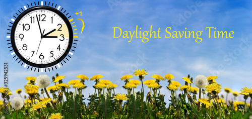 Summer Daylight Saving Time (DST). Blue sky with yellow dandelions. Turn time forward (+1h).