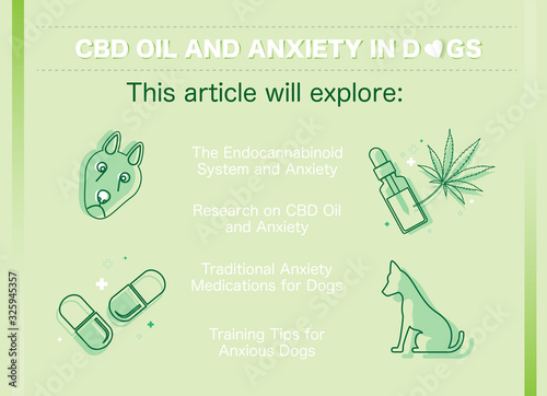 cbd oil and anxiety in dogs,vector infographic on white background.