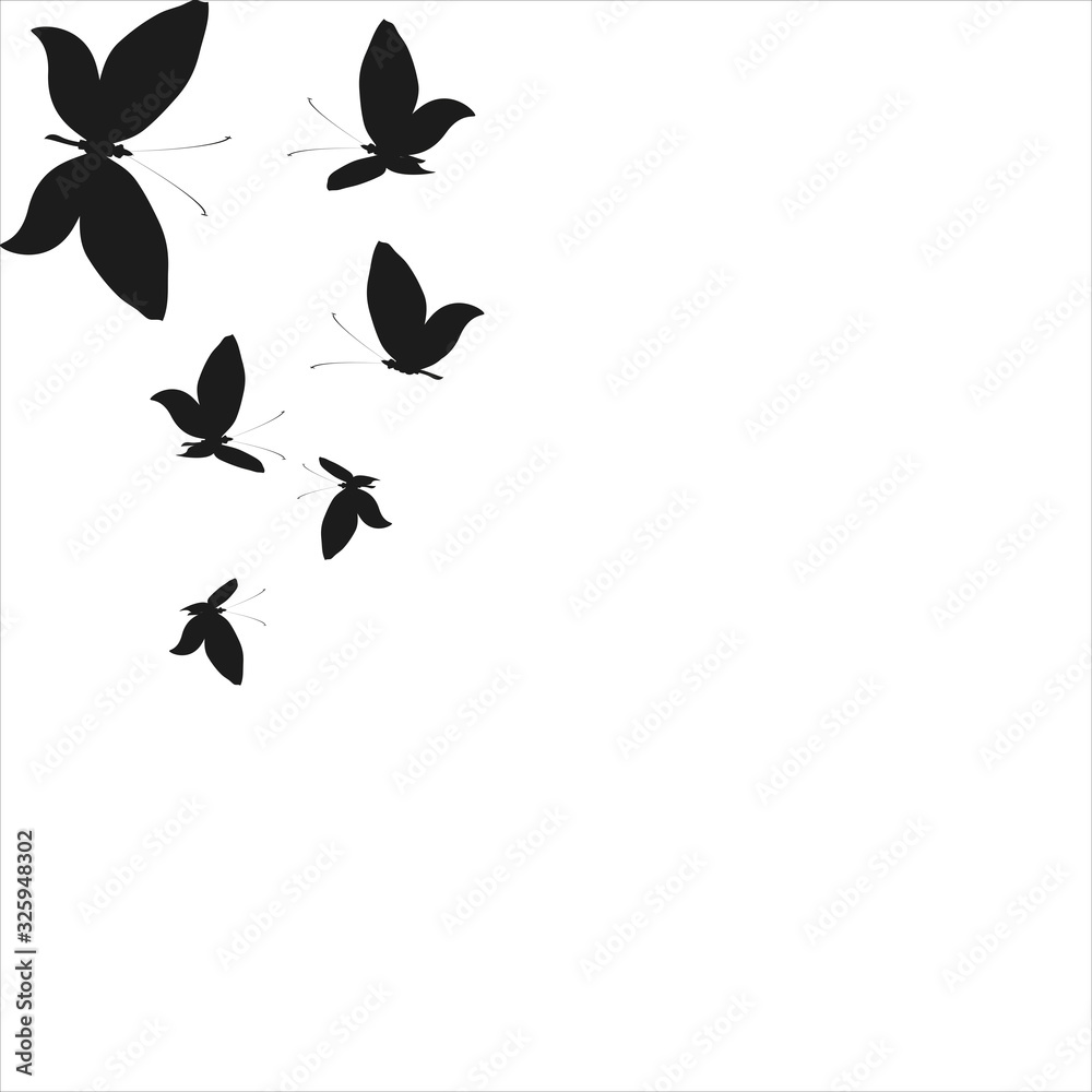 12026 12026