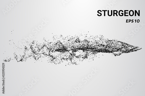 Sturgeon of the particles. Sturgeon consists of circles and dots. Sturgeon falls apart into molecules.