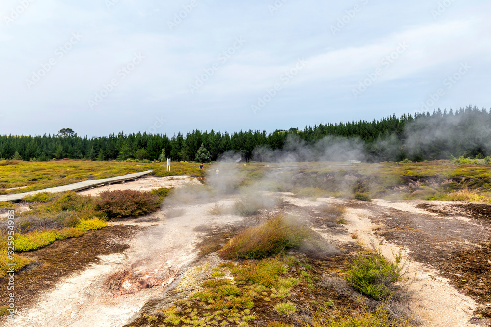 Steam from geothermal fields of Craters of the Moon, Taupo, New Zealand
