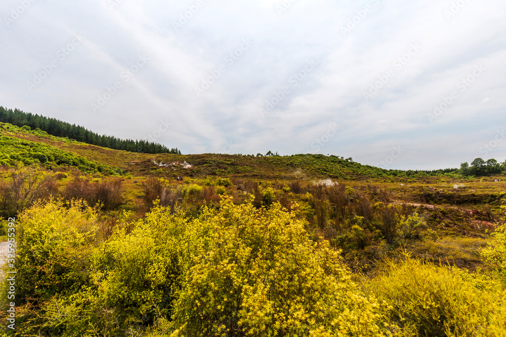 Fototapeta premium Steam from geothermal fields of Craters of the Moon, Taupo, New Zealand