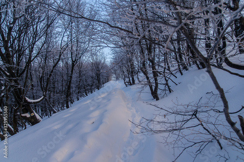 Fototapeta Naklejka Na Ścianę i Meble -  turystyczny szlak na połoninę Bieszczady