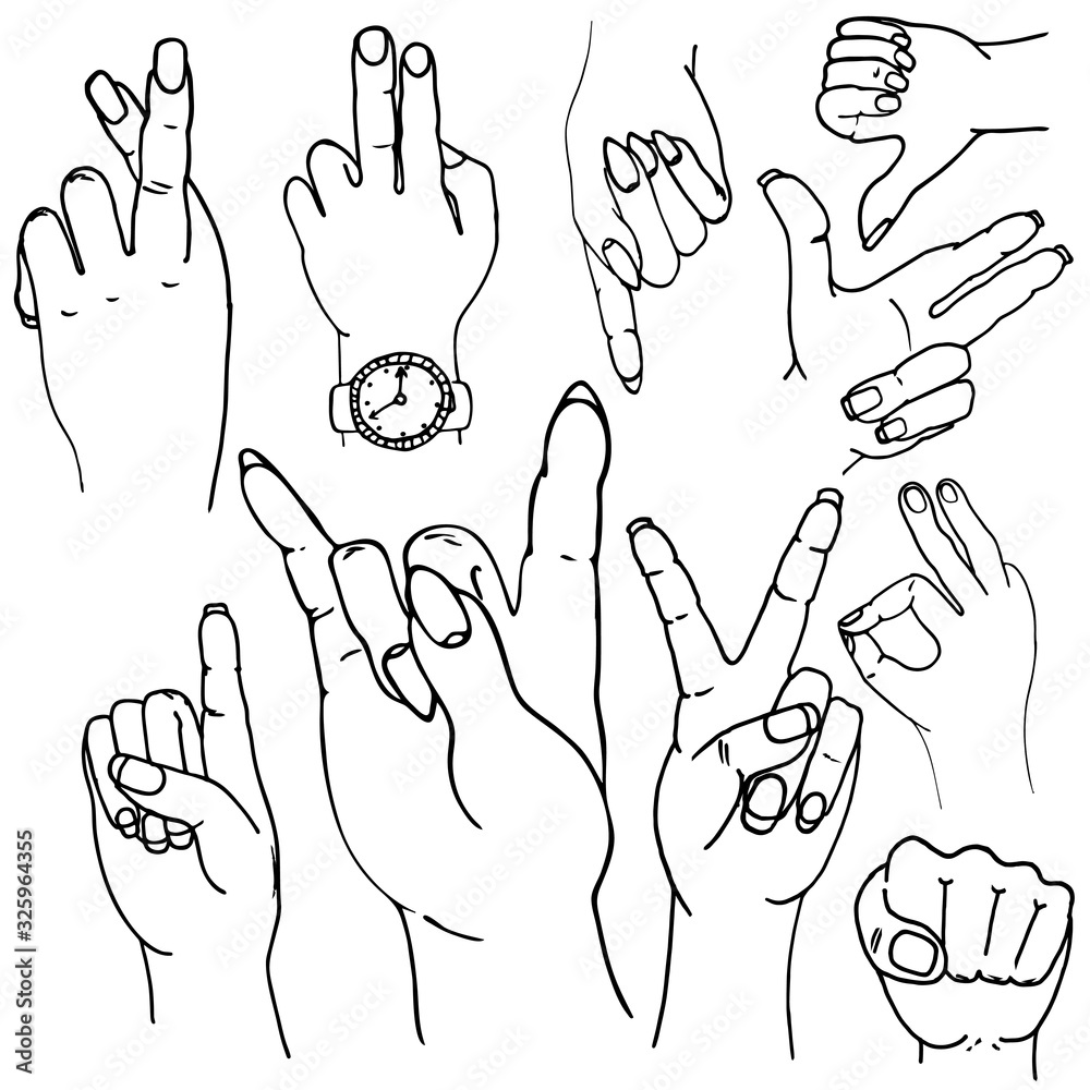 Fototapeta premium Vector set of hands and gestures. Hands collection - vector illustration.