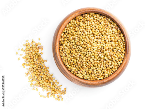 Spice coriander (Coriandrum sativum) in wooden cup and bunch on white. Diet and weight loss concept