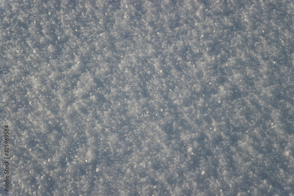 snow, snowflakes on the field. Macro