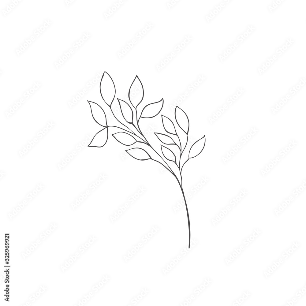 Hand drawn plant branches. Greenery design elements. Botanical logos.