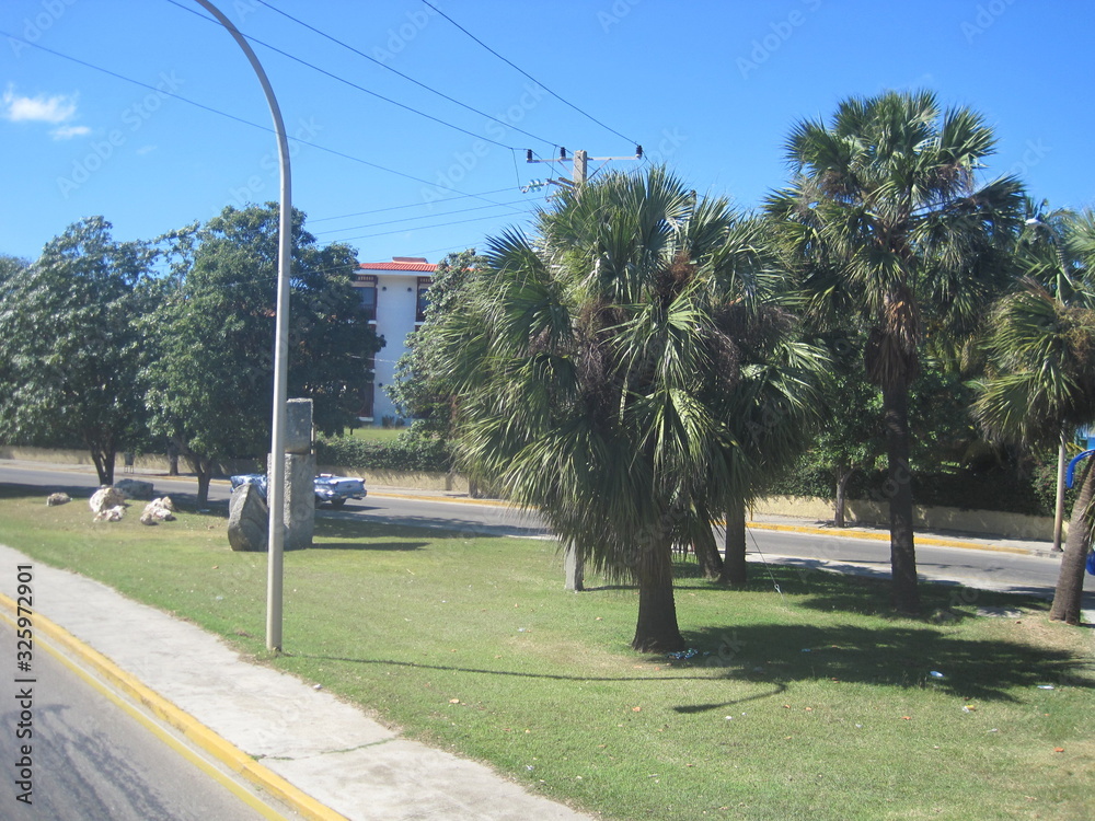 Obraz premium Cuba auto