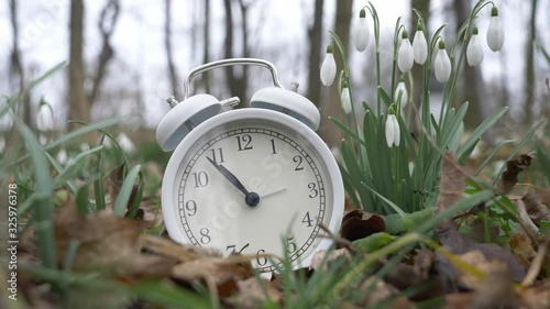 look at snowdrops growing in late winter and a white alarm clock