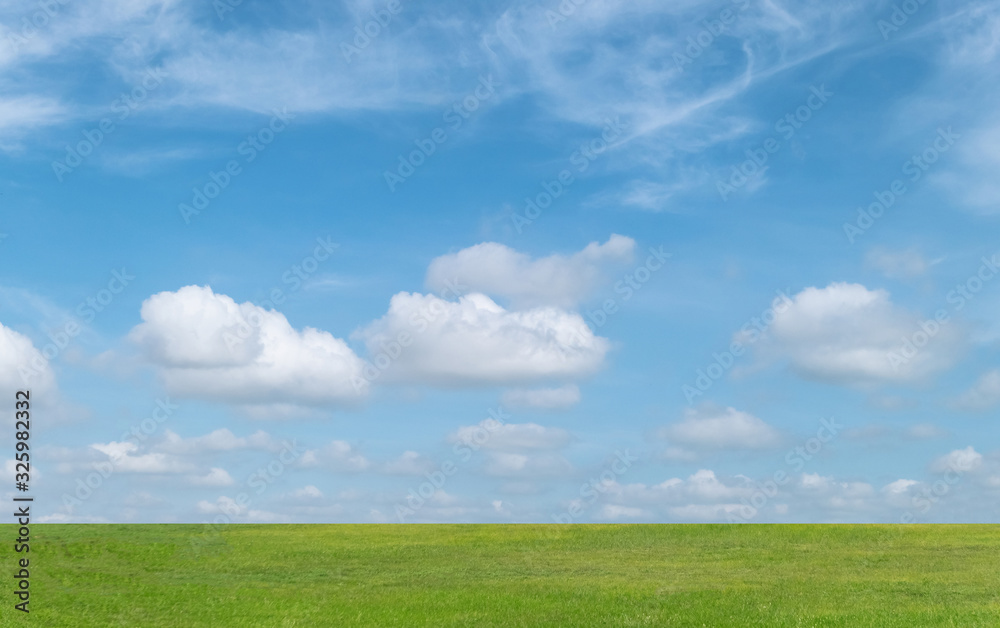 Green grass field and blue sky with white clouds. Beautiful landscape background.