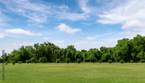 Landscape of grass field and green environment public park with blue sky. Beautiful summer landscape background.