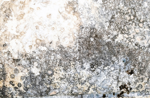 Old grunge texture background. Hi res textures and perfect background. © Lifestyle Graphic