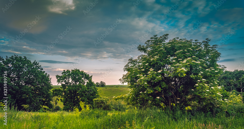 Fields landscape in summer sunset and sunrise Fields landscape in summer sunset and sunrise
