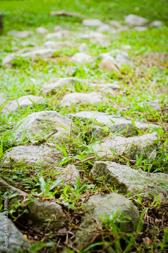Stone pathway on green grass.