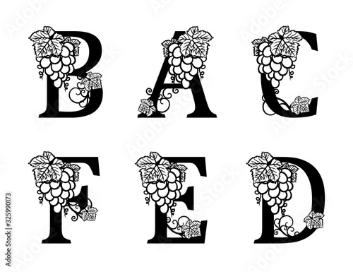 Elegant Wine Logo. Monogram Letters B, A, C, D, E, F. Calligraphic template logotype or insignia for Food and drinks. Design emblem for winery, vineyard, wine shop, wine list, restaurant, label.