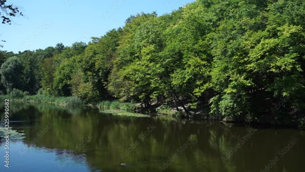 lake in the summer park