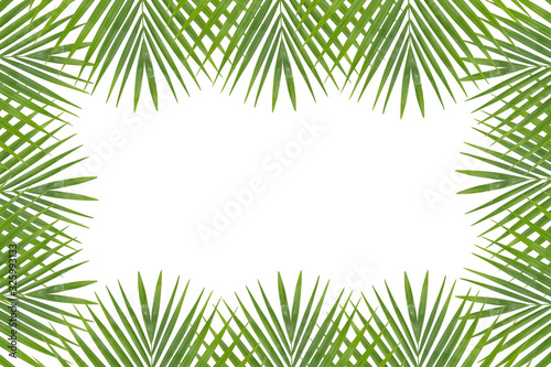 Palm leaves isolated on white background. © tienuskin