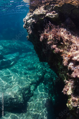 Mediterannean reef in Zakynthos, Greece