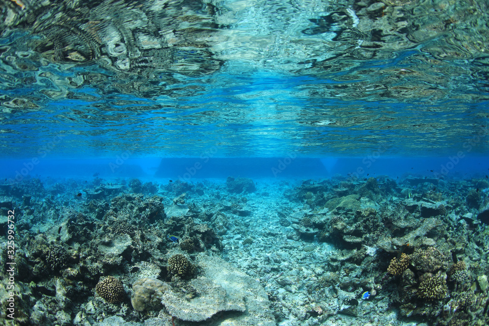 Passage through the coral reef