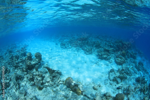Fototapeta Naklejka Na Ścianę i Meble -  Passage through the coral reef