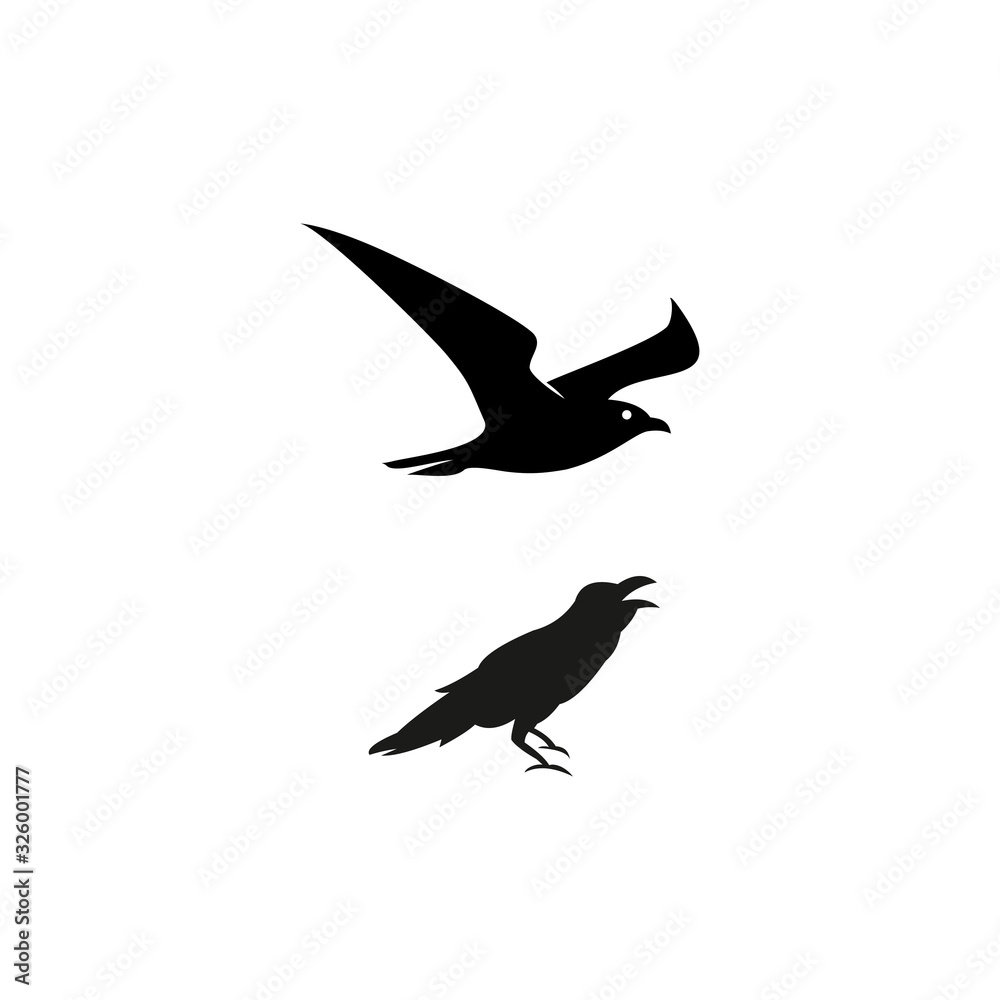 Obraz premium minimalist raven bird vector logo design