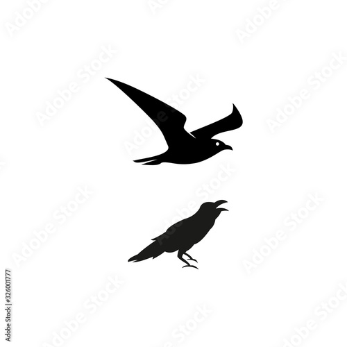 minimalist raven bird vector logo design